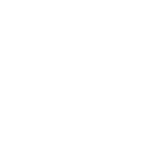BIRGROUP
