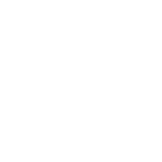Lübecker Wachunternehmen